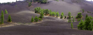 La Palma island, El Pilar, lava scenery, the Canaries, Spain, Europe, panorama, panoramic picture La Palma island, El Pilar, lava scenery, the Canaries, Spain, Europe, panorama, panoramic picture